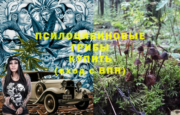 дурь Алзамай