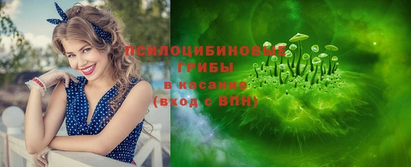 дурь Алзамай