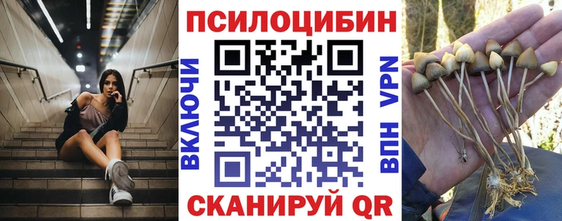 Купить закладки Тула Галлюциногенные грибы Cubensis