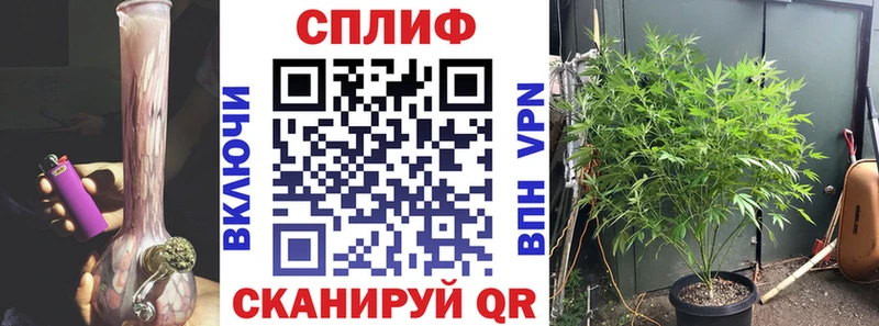 МАРИХУАНА OG Kush  Купить где  Тула 